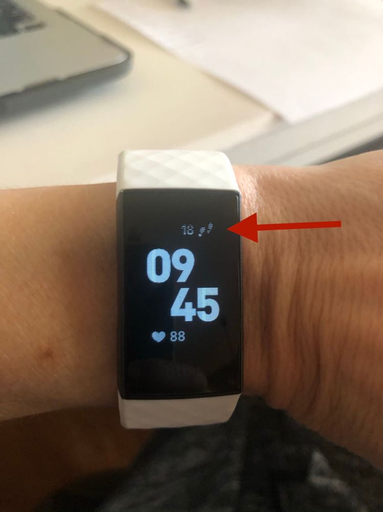 Fitbit 1.jpg