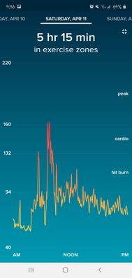 Screenshot_20200415-095637_Fitbit.jpg