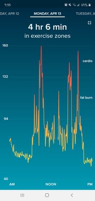 Screenshot_20200415-095600_Fitbit.jpg