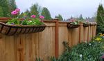 fitbit-2020-04-AprilShowers01.JPG