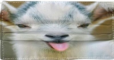 goatmask.jpg