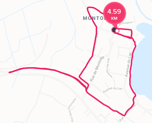 fitbit 2.png