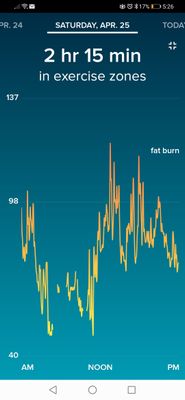 Screenshot_20200426_052622_com.fitbit.FitbitMobile.jpg