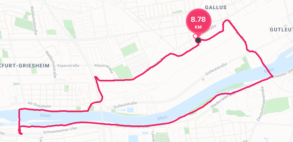 Fitbit.PNG