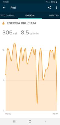 Screenshot_20200429-123008_Fitbit.jpg