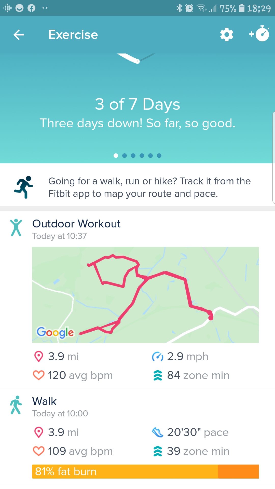 Track 2025 run fitbit