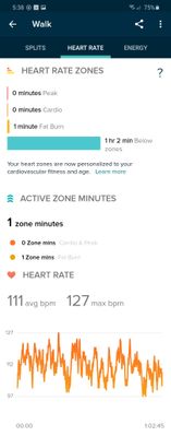 Screenshot_20200502-173834_Fitbit.jpg
