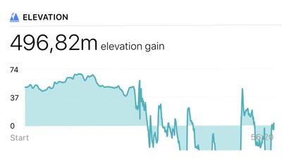 Fitbit