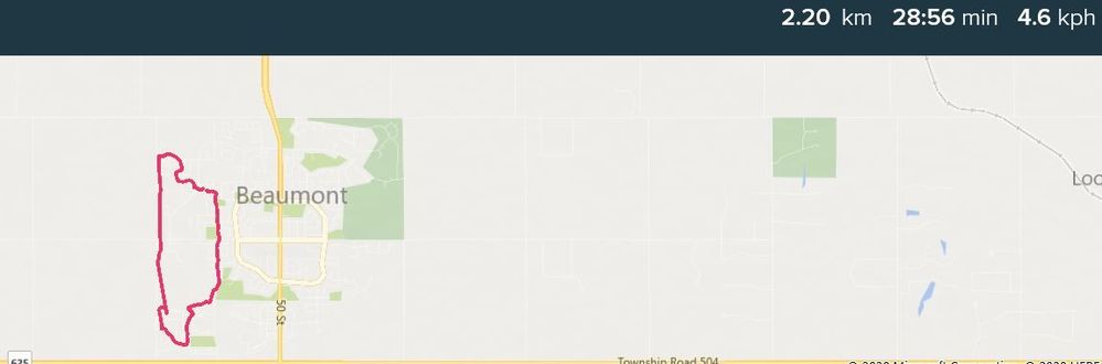 Fitbit map
