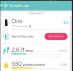 FITBIT.JPG