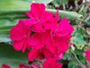 20200517_184503_resized.jpg