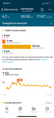 camminata.png