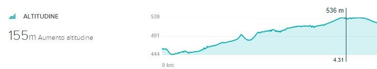 Grafico altitudine sul sito https://www.fitbit.com/activities/