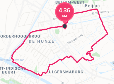 fitbit_km_wrong.png