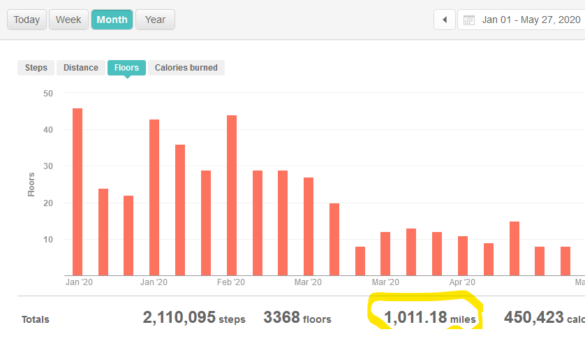 Fitbit 2020 miles.png