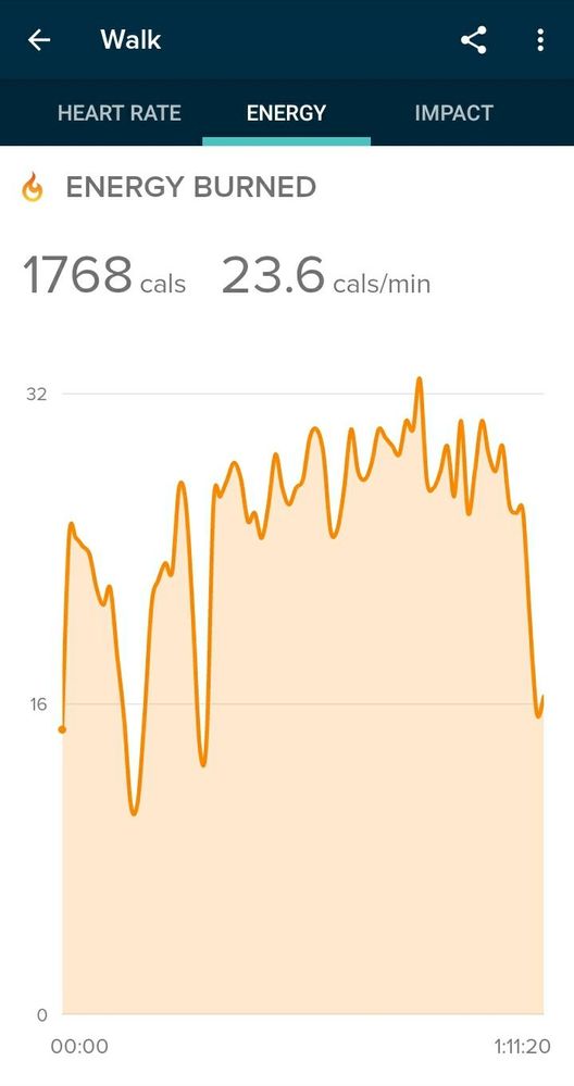 Screenshot_20200528-092113_Fitbit 2.jpg