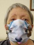 goatmask.jpg