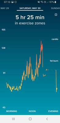 Screenshot_20200601-071049_Fitbit.jpg