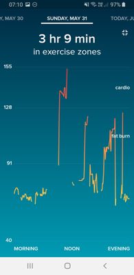 Screenshot_20200601-071030_Fitbit.jpg