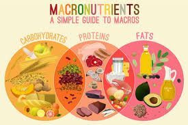 Macro Guide