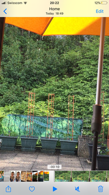 039A7D20-AAC3-492D-8720-EF3504125570.png