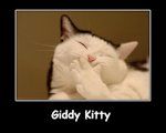 Giddy_Kitty.jpg