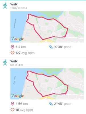 Screenshot_20200621-171605_Fitbit.jpg
