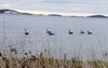 20200622_164015_resized.jpg