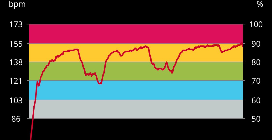 does polar h10 work with fitbit