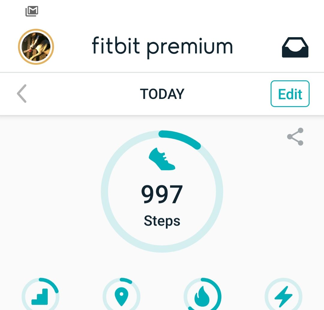 Derfor dok entusiastisk Fitbit Premium Guide - Fitbit Community