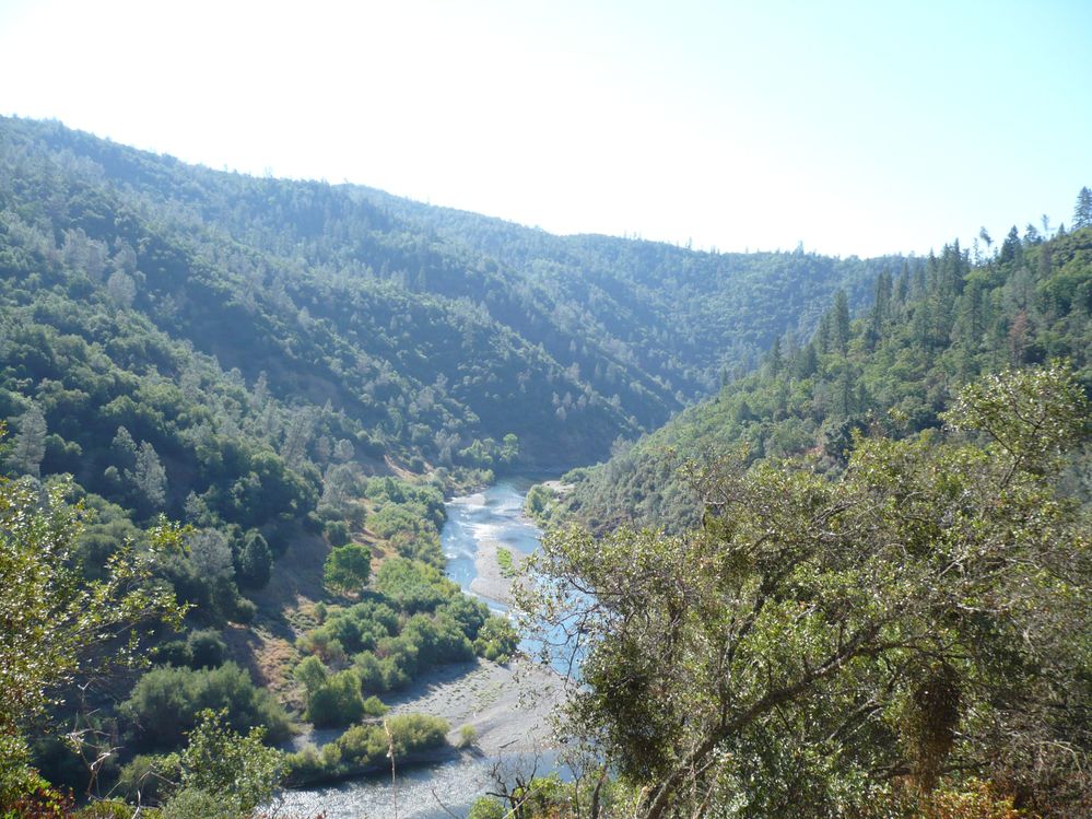 P1000819.JPG