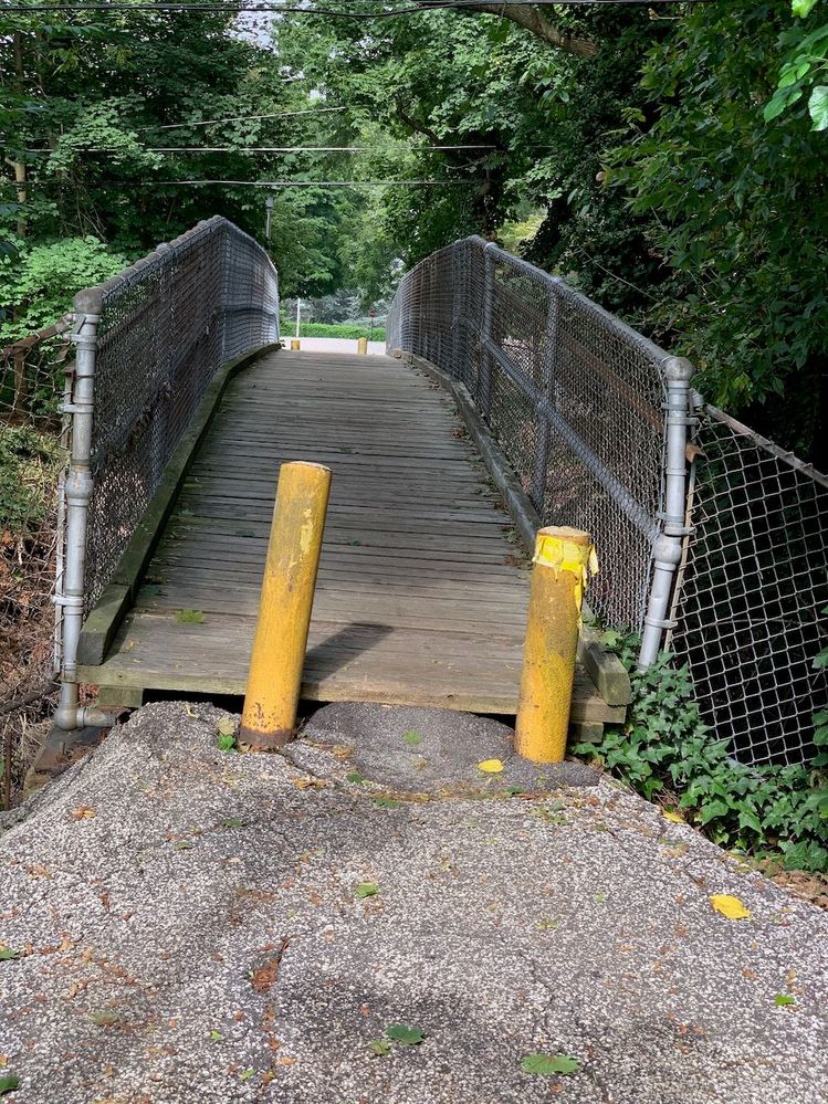 Neighborhood ped bridge