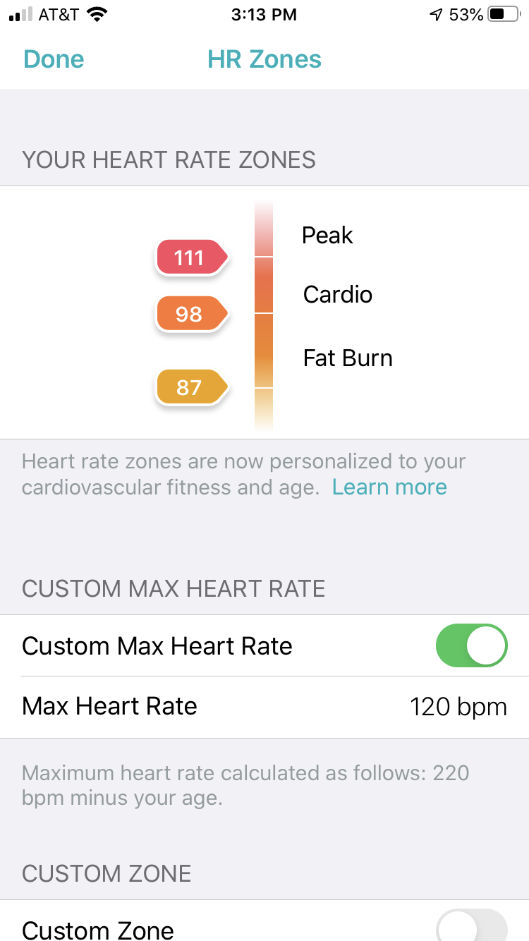 Fitbit 2025 fat burn