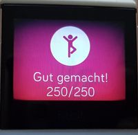 Display Ränder dunkel - 250 Schritte erreicht.jpg