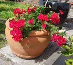 20201006_165850_resized.jpg