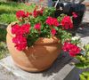 20201006_165850_resized.jpg