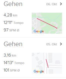 Bilder Fitbit.JPG