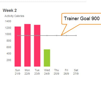 Trainer Goal 2.jpg