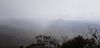 20201015_131836_resized.jpg