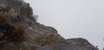 20201015_140924_resized.jpg