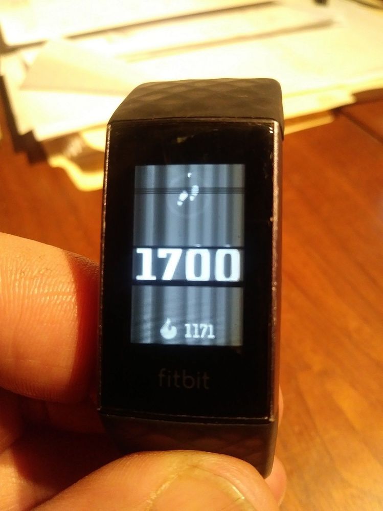 Fitbit 1.jpg