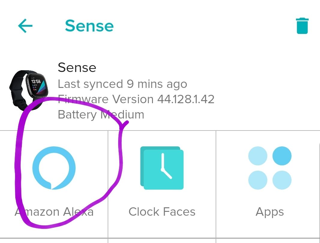 fitbit sense alexa