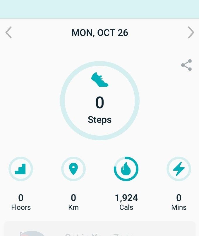 Fitbit problems. 0 steps = impossible.