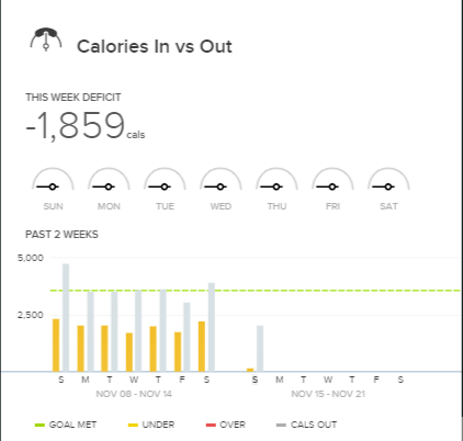 Fitbit-Dashboard (1).png