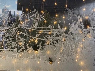 67DD8731-5D02-4194-810D-4F0CF00F5656.jpeg