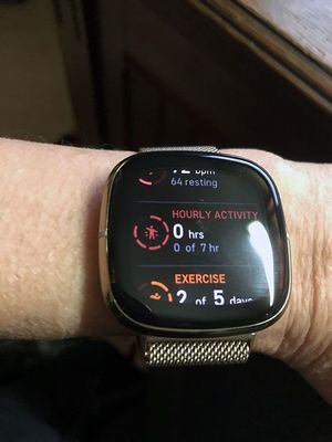 fitbit1.jpg