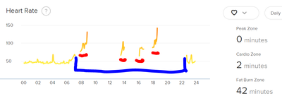 fitbit_erroneous_heartrate 2.PNG