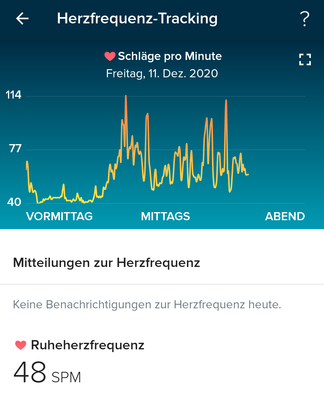 WerleG_0-1607714752045.png
