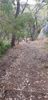 20201221_191634_resized.jpg