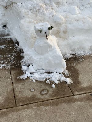 A snowperson found this morning while walking